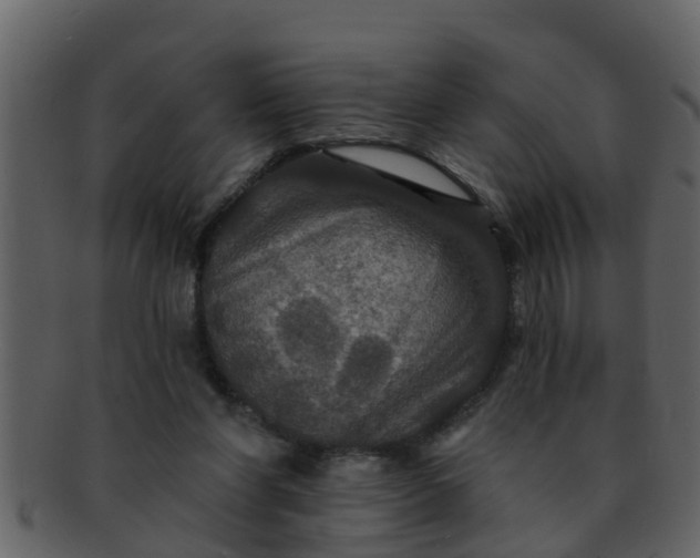 X0000093130206200710171314
