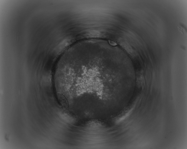 X0000093130207200710171314