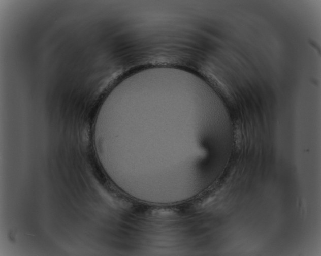 X0000093130208200710171314