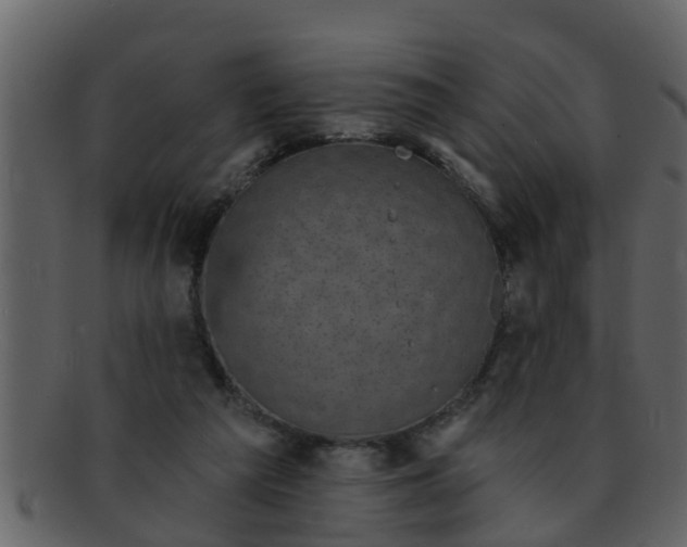 X0000093130209200710171314