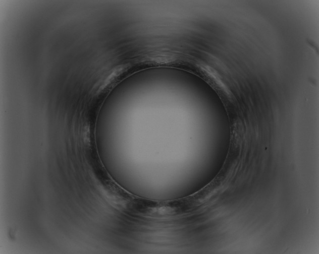 X0000093130212200710171314