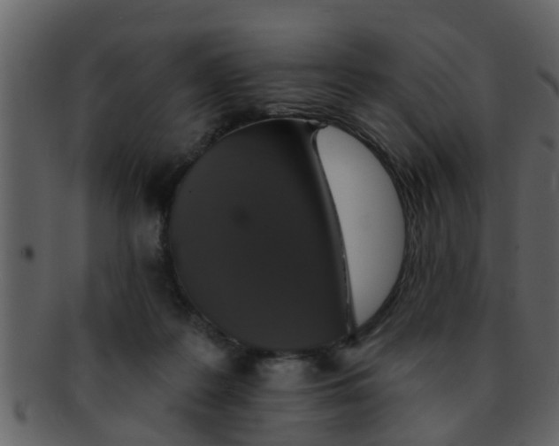 X0000093130219200710171314