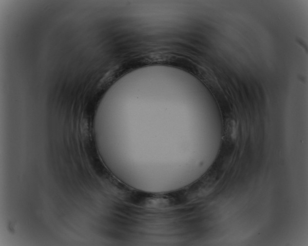 X0000093130220200710171314