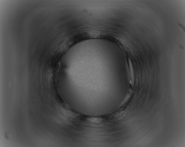 X0000093130221200710171314