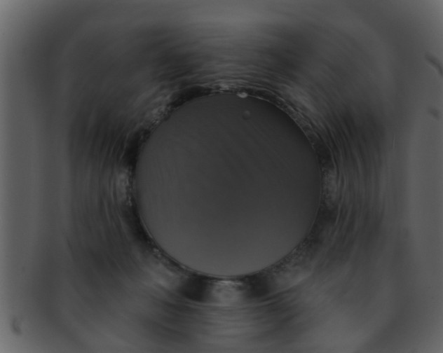 X0000093130222200710171314