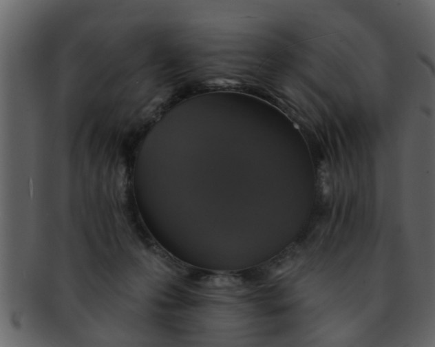 X0000093130223200710171314