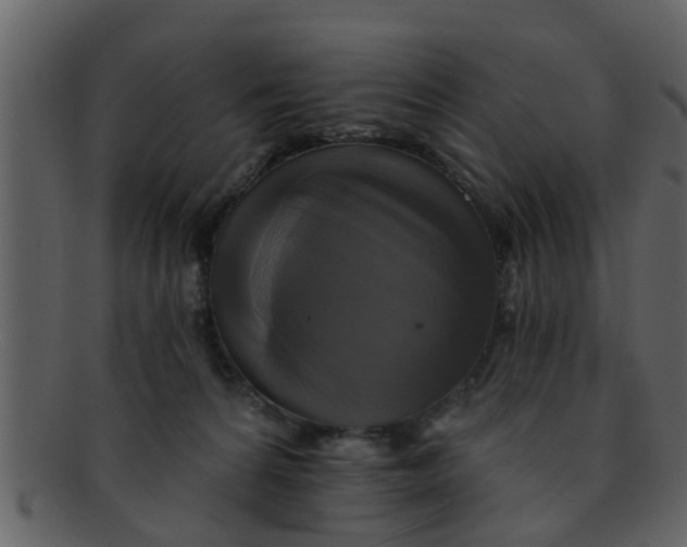X0000093130224200710171314