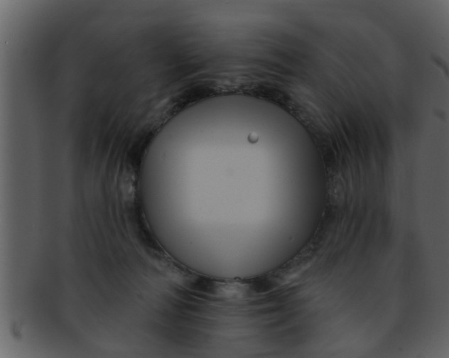 X0000093130226200710171314