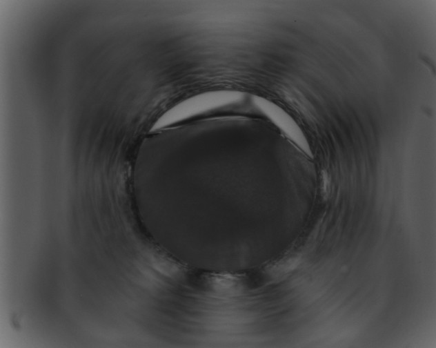 X0000093130229200710171314
