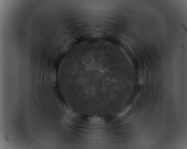 X0000093130230200710171314