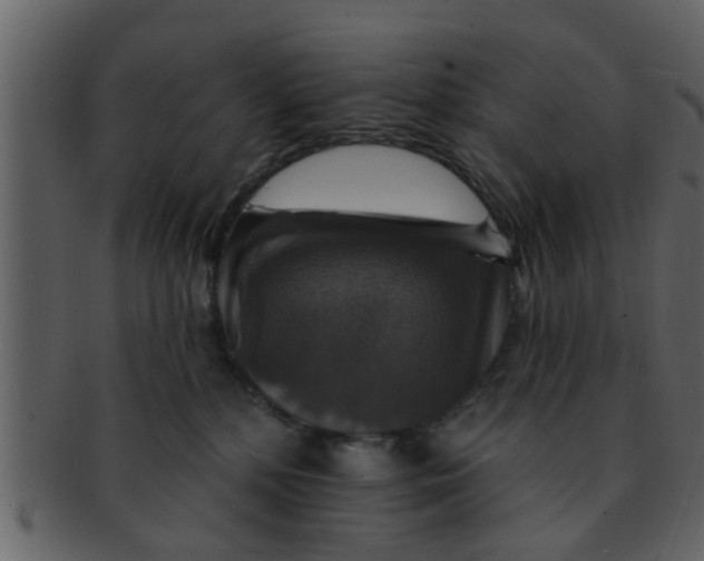 X0000093130232200710171314