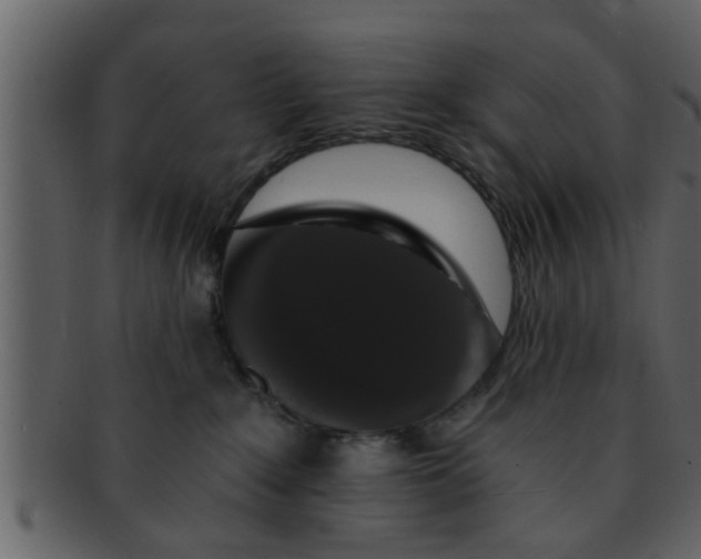 X0000093130235200710171314