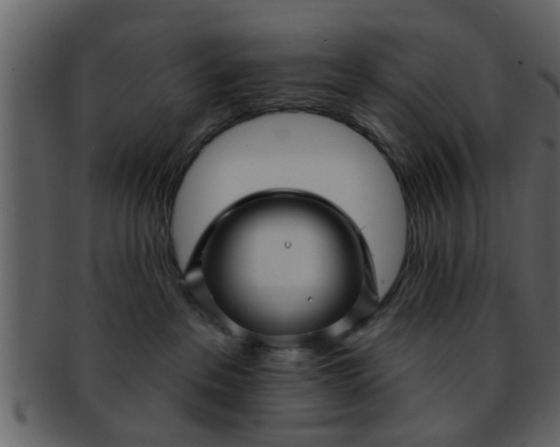 X0000093130237200710171314