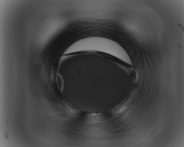 X0000093130239200710171314