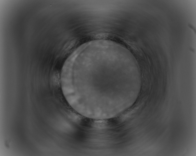 X0000093130240200710171314