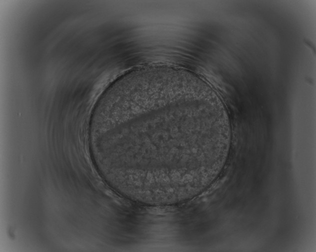X0000093130241200710171313