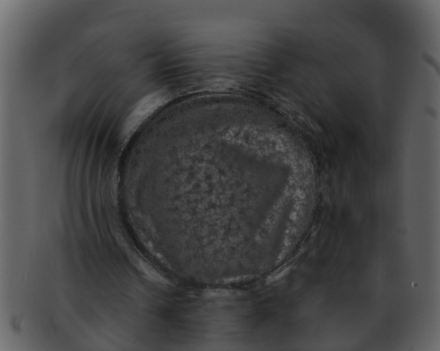 X0000093130242200710171313