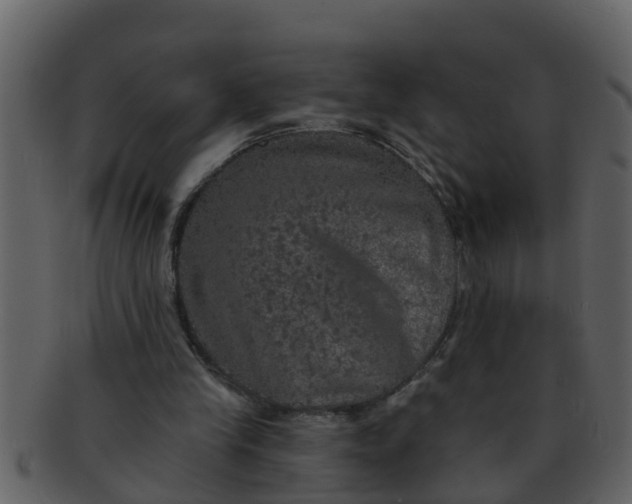 X0000093130245200710171313