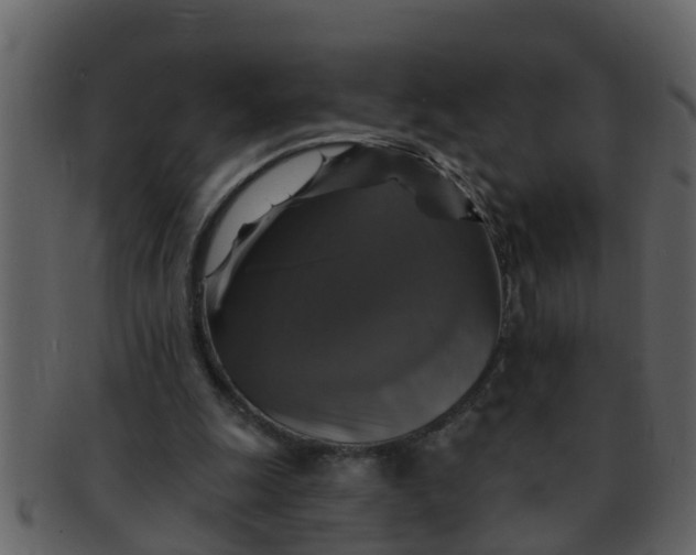 X0000093130247200710171313