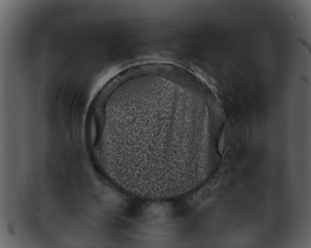 X0000093130248200710171313
