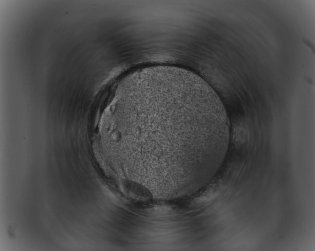 X0000093130256200710171313