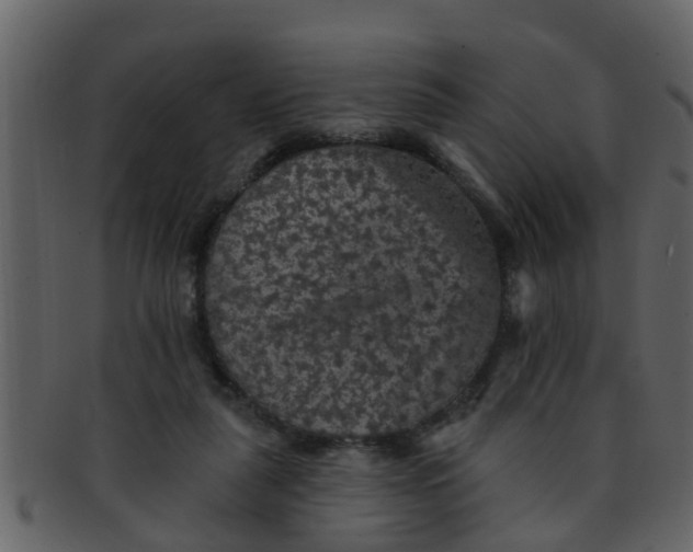 X0000093130259200710171314