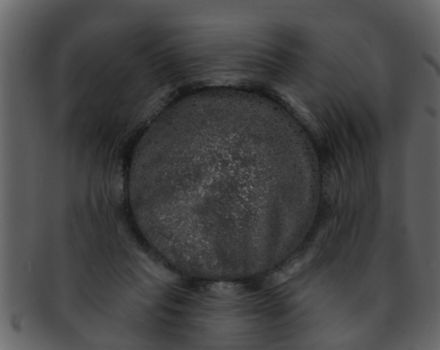 X0000093130261200710171314