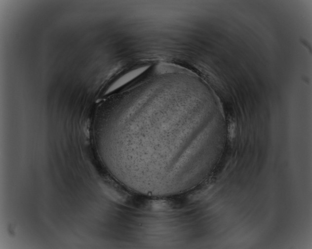 X0000093130264200710171314