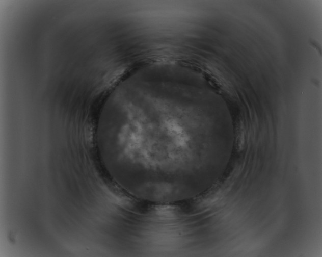 X0000093130268200710171314