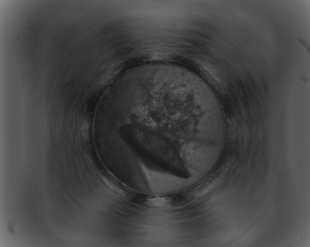 X0000093130269200710171314