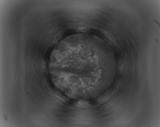 X0000093130270200710171314