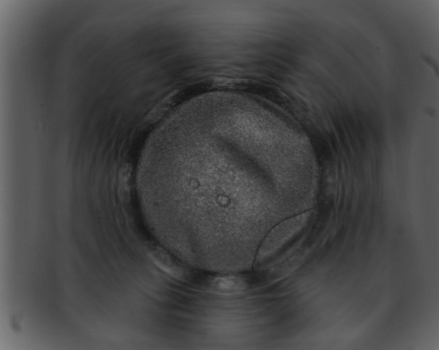 X0000093130275200710171314