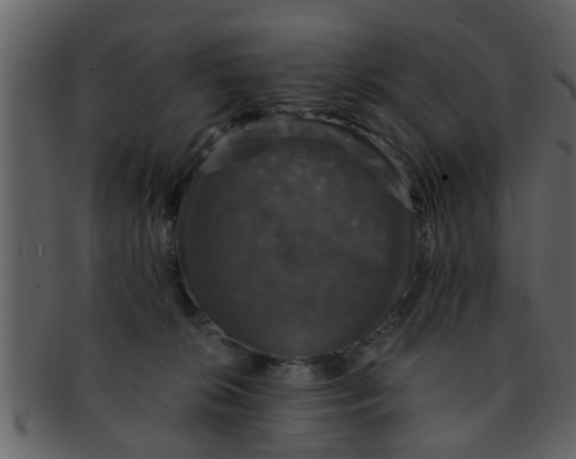 X0000093130276200710171314