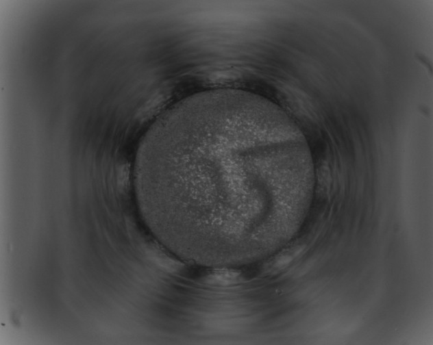 X0000093130278200710171314
