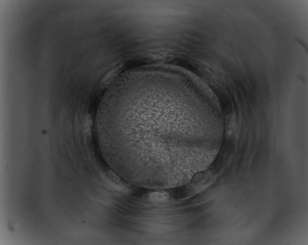 X0000093130279200710171314