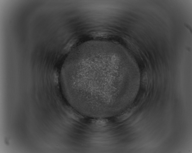 X0000093130282200710171314