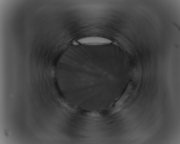 X0000093130284200710171314