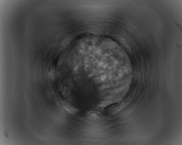 X0000093130285200710171314