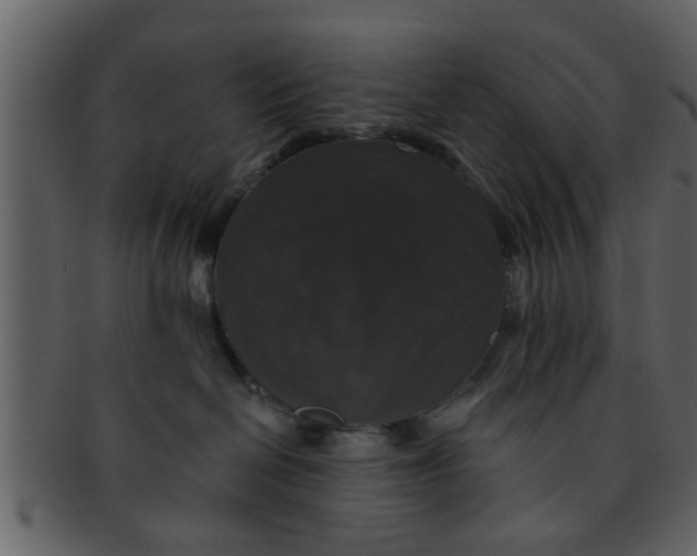 X0000093130286200710171314