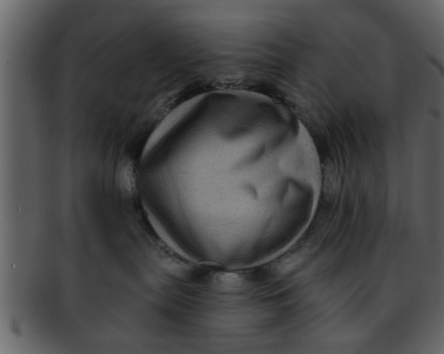 X0000093130287200710171314