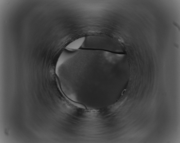 X0000093130288200710171314