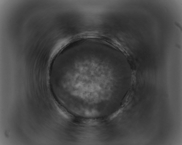X0000093130293200710171313