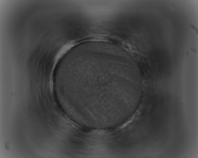 X0000093130294200710171313