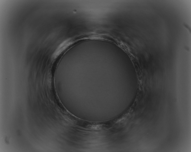 X0000093130295200710171313