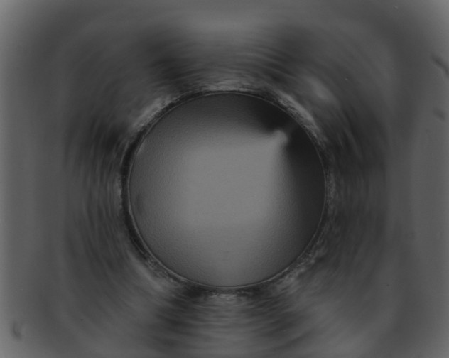 X0000093130298200710171313