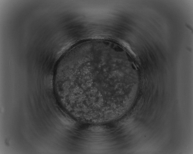 X0000093130299200710171313