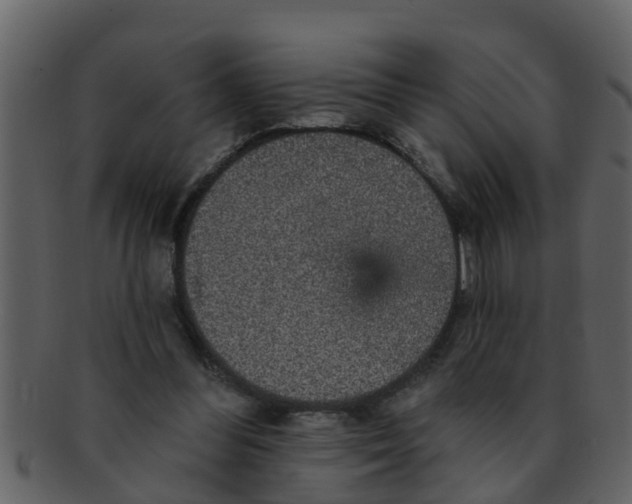 X0000093130300200710171313