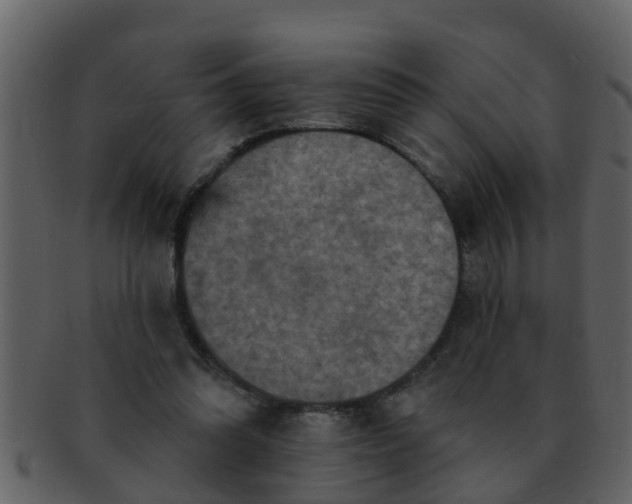 X0000093130302200710171313