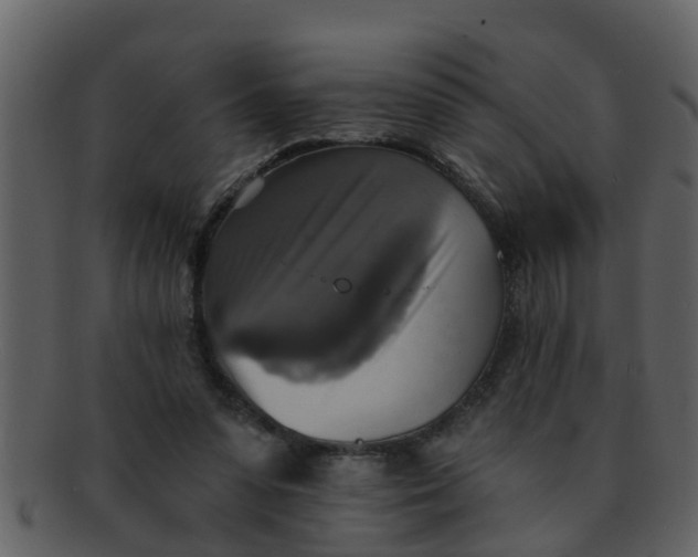 X0000093130303200710171313