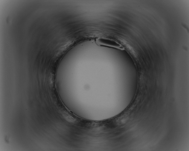 X0000093130305200710171313